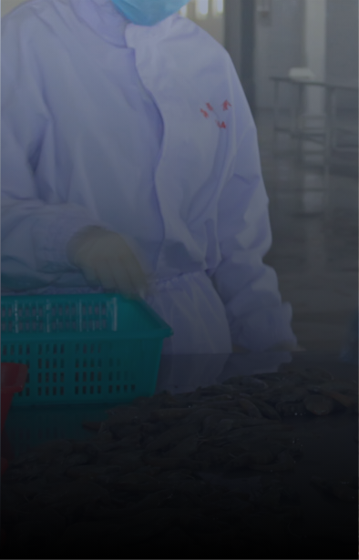 https://www.inspectionmanaging.fr/wp-content/uploads/2023/12/Group-32938.png